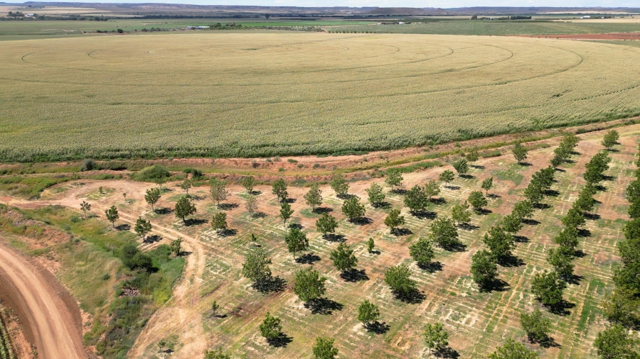 0 Bedroom Property for Sale in Hopetown Northern Cape